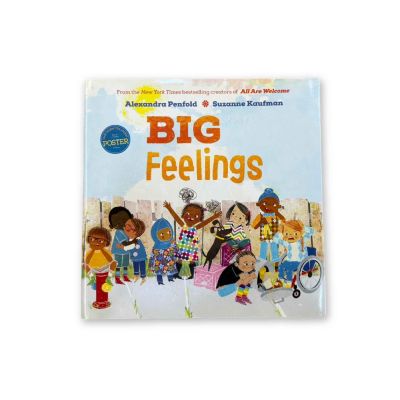Big Feelings (N2 -Term 1)
